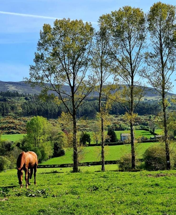 Greenvale Cabins Forkhill Esterno foto